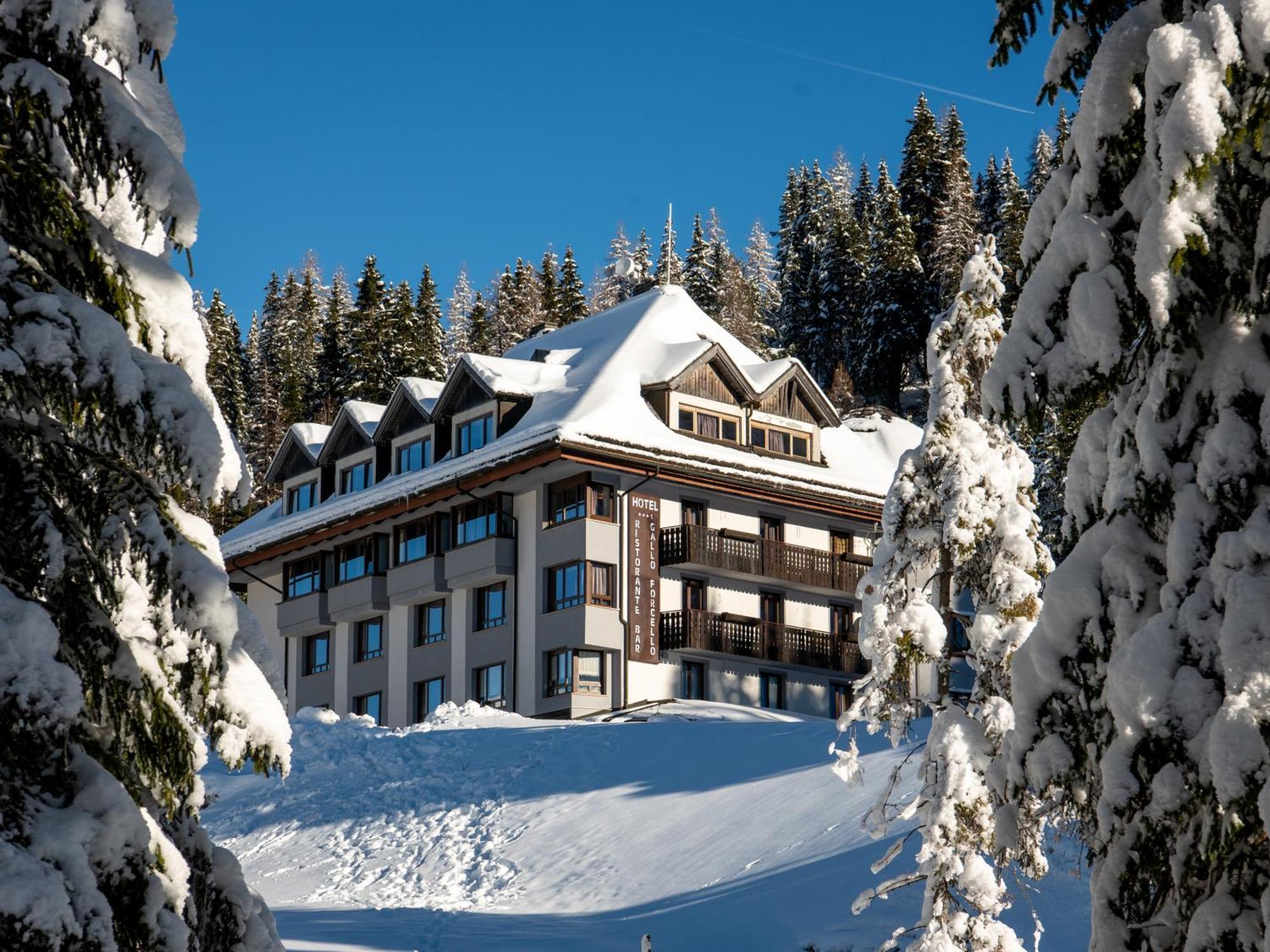 Biker Hotel Al Gallo Forcello Passo Pramollo Buitenkant foto