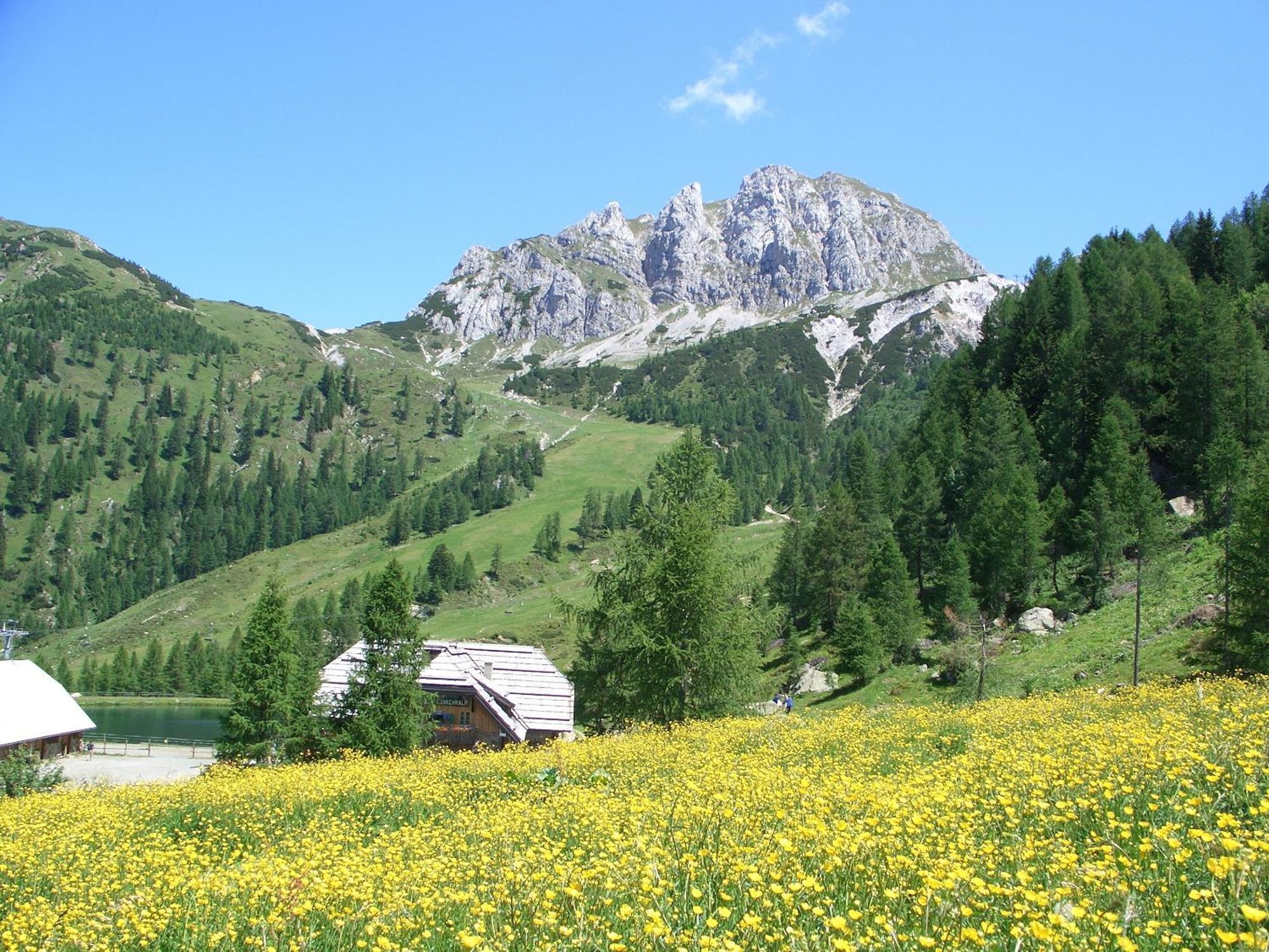 Biker Hotel Al Gallo Forcello Passo Pramollo Buitenkant foto