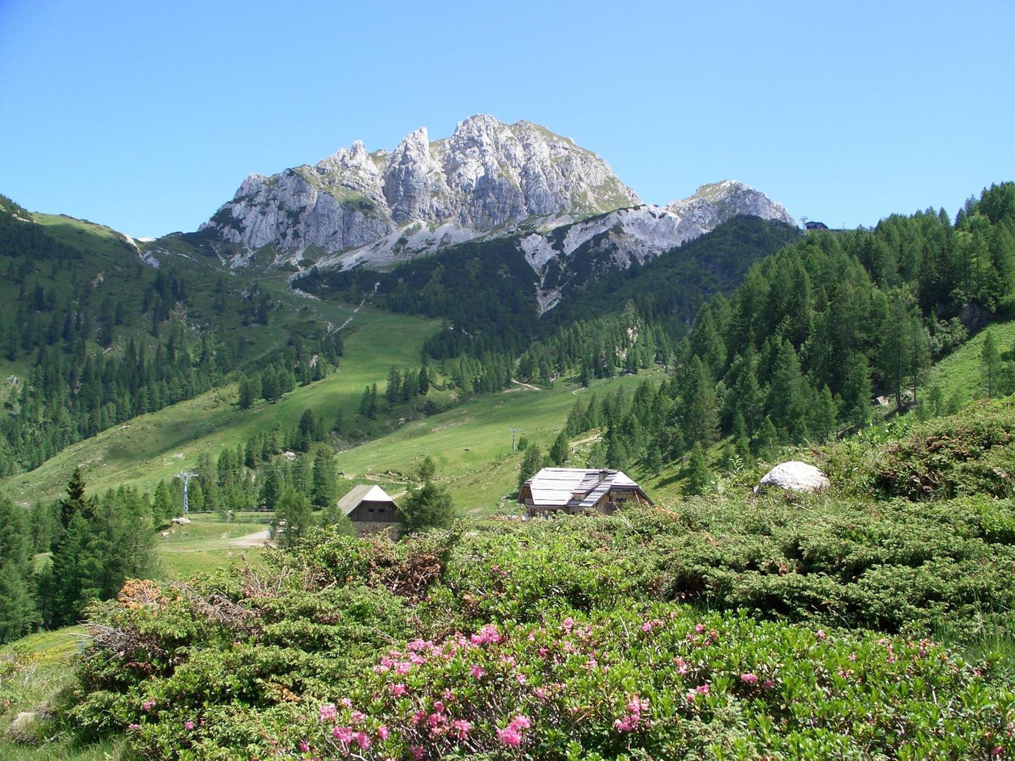 Biker Hotel Al Gallo Forcello Passo Pramollo Buitenkant foto